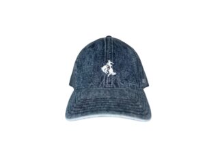 Denim baseball cap with embroidered polo logo